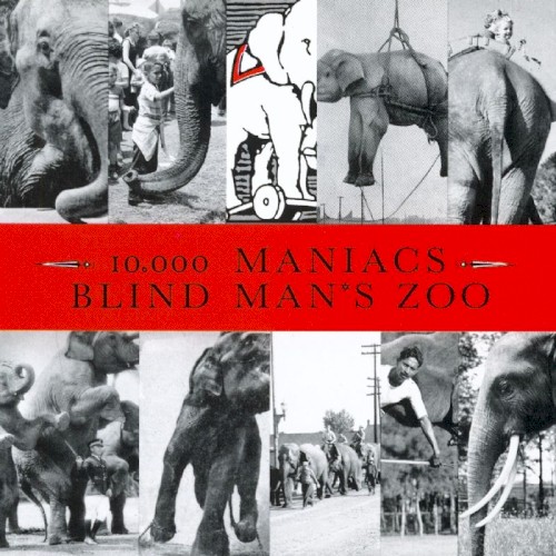 Blind Man’s Zoo