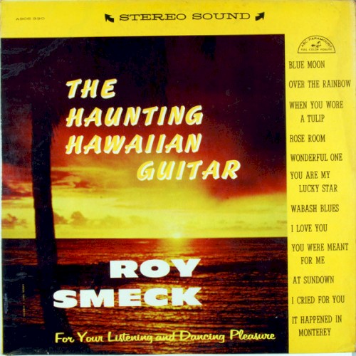 The Haunting Hawaiian Guitar