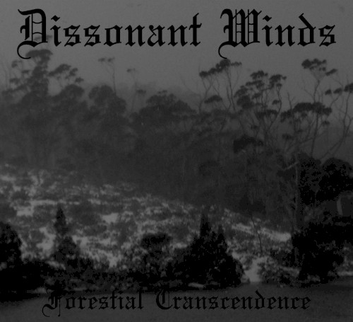 Forestial Transcendence