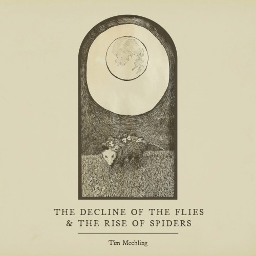The Decline of the Flies and the Rise of Spiders