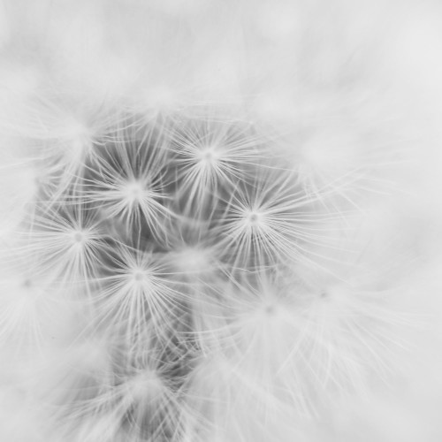Dimentions