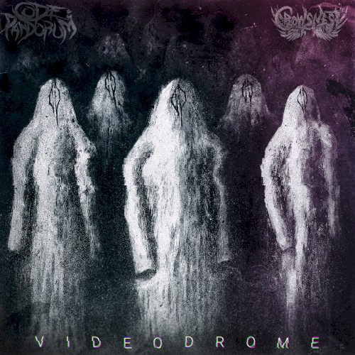 Videodrome