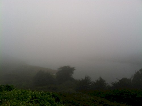Music From The Headlands Center For The Arts, Volume Seven - Gift Of Tongues