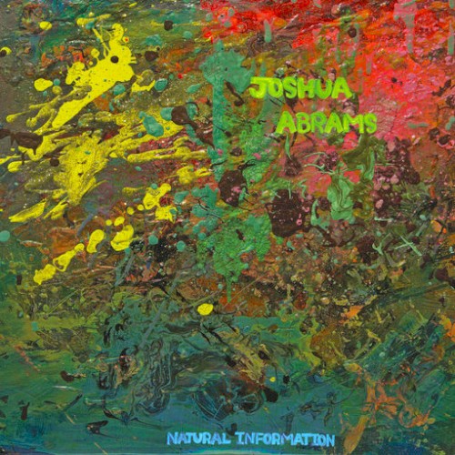 Natural Information
