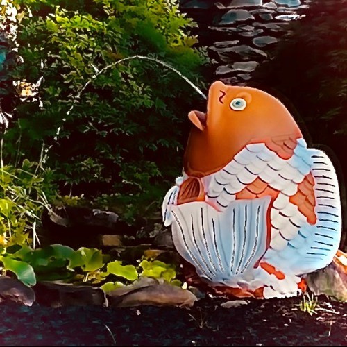 Anakeesta Fish