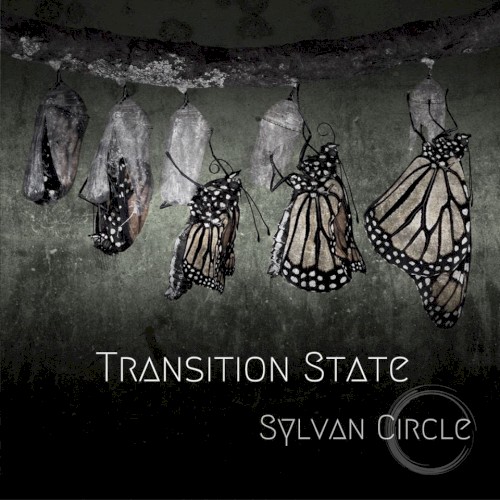 Transition State