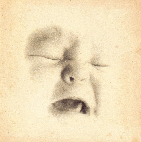 Welcome to the Infant Freebase