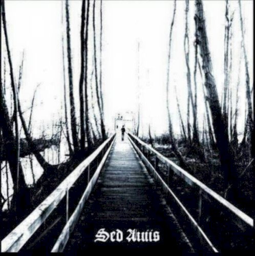 Sed Auiis