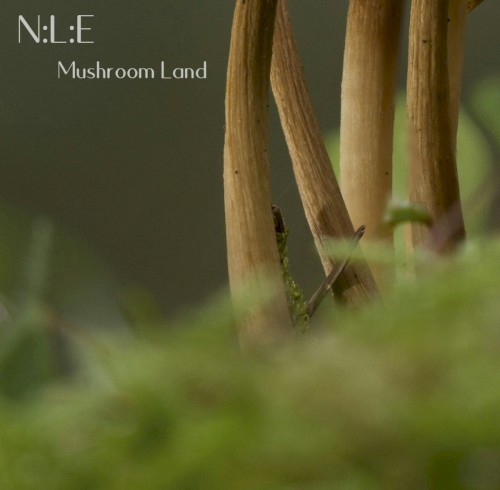 Mushroom Land