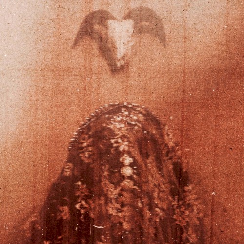 Alraune