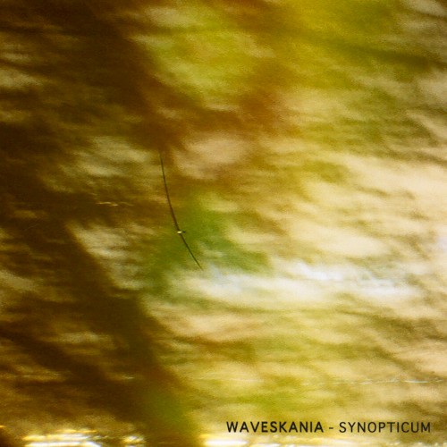 Synopticum