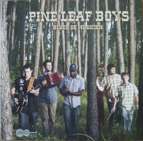 Blues de musicien