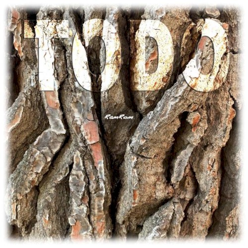 Todo