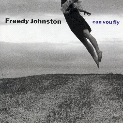 Can You Fly