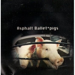 Pigs