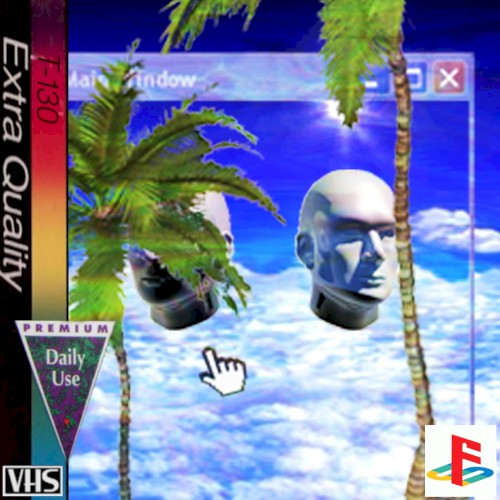 Palmtree Paradise