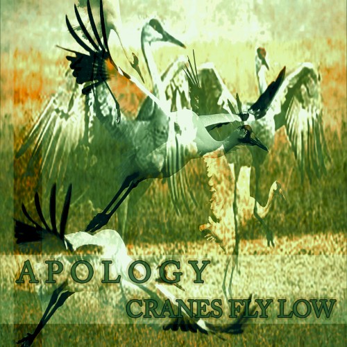 Cranes Fly Low