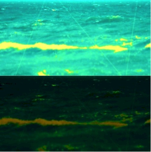 Thalassa
