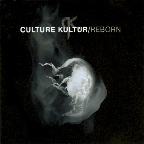 Reborn