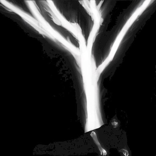 THE SOUND THAT TREES MAKE