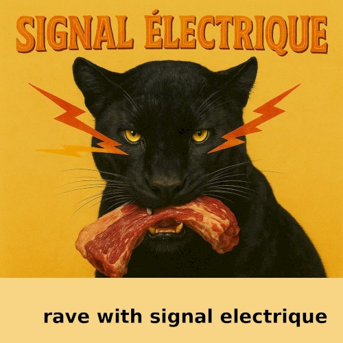 Rave With Signal Electrique