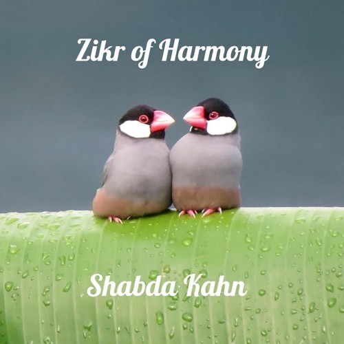 Zikr of Harmony