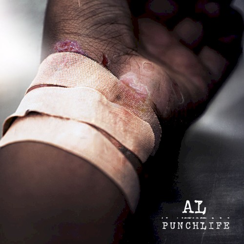 PunchLife