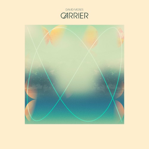Carrier
