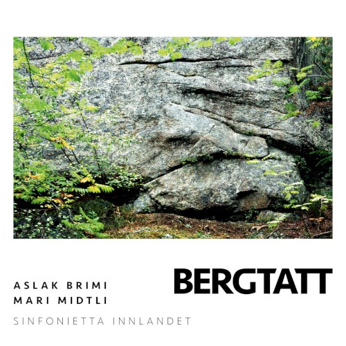 Bergtatt