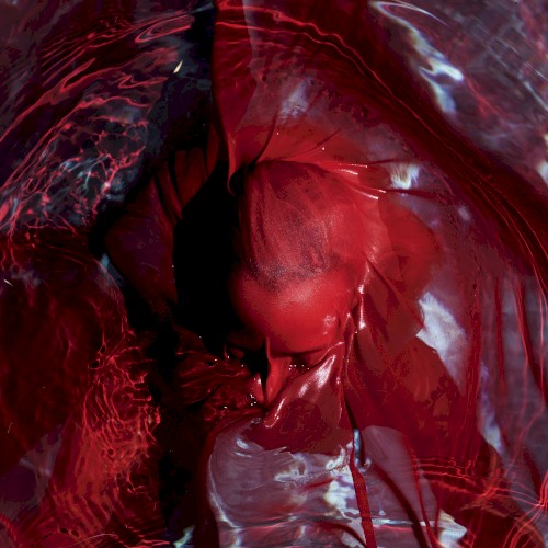 Blackwater Holylight &ndash; Not Here Not Gone