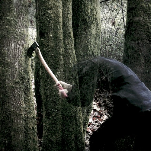 Bushcraft