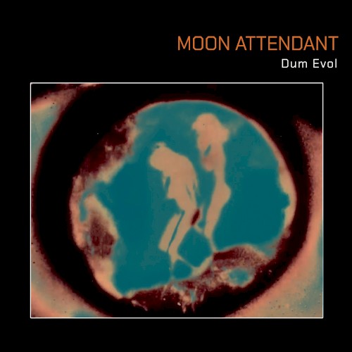 Dum Evol