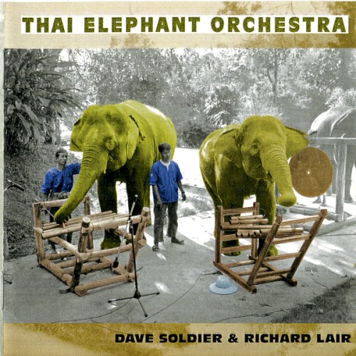 Thai Elephant Orchestra