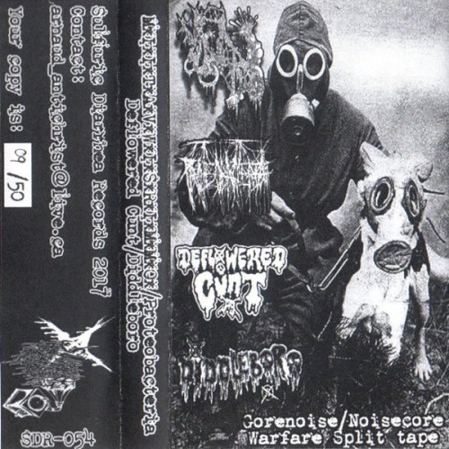 Gorenoise / Noisecore Warfare Split Tape