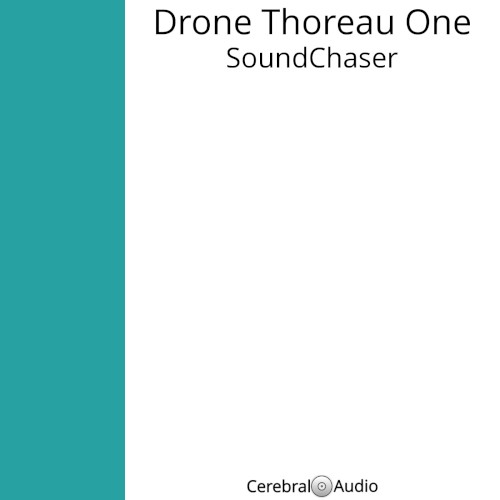 Drone Thoreau One