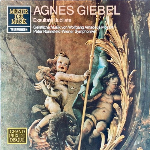 Exsultate Jubilate: Geistliche Musik Von Wolfgang Amadeus Mozart