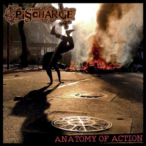 Anatomy Of Action