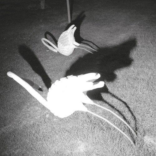 A Mimesis of Nothingness