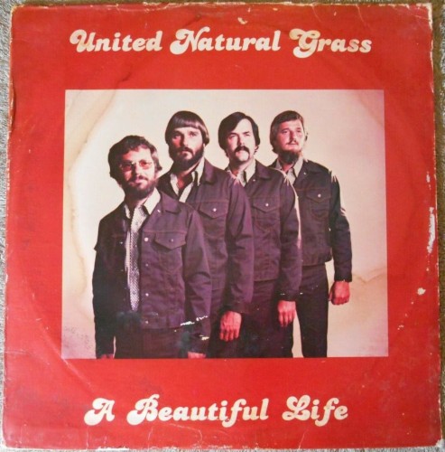 A Beautiful Life