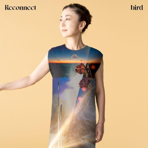 Reconnect
