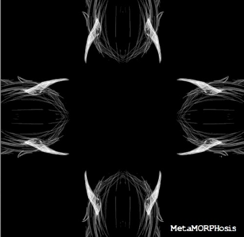 MetamorphosiS