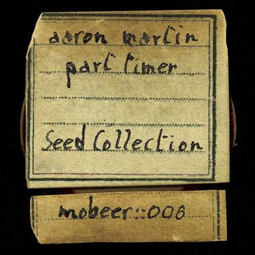 Seed Collection