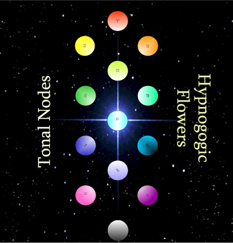 Hypnogogic Flowers