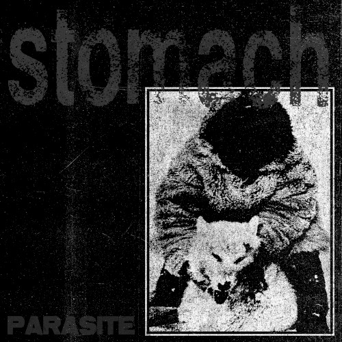 Parasite
