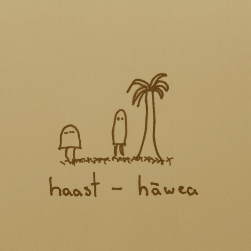 Haast - Hāwea