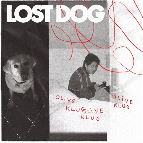 Lost Dog