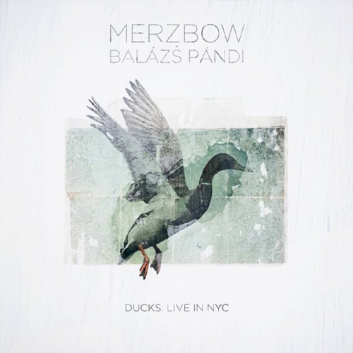 Ducks: Live in NYC