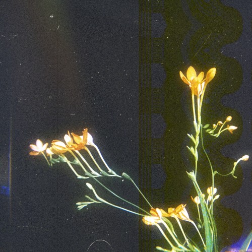 Qualia Vol.4