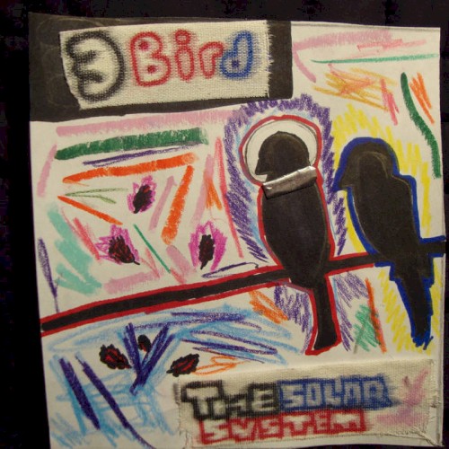 3 Bird