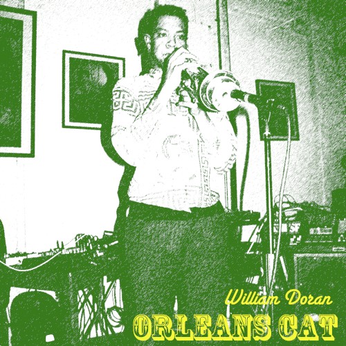 Orleans Cat